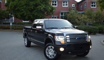 2014 Ford F-150 Platinum Crew Cab Ecoboost Fully Loaded full