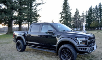 2017 Ford F-150 *RAPTOR* 3.5L Twin Turbo High Output Ecoboost full