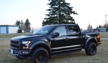 2017 Ford F-150 *RAPTOR* 3.5L Twin Turbo High Output Ecoboost full