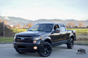 2013 FORD F150 FX4 LUXURY 3.5 ECOBOOST for sale
