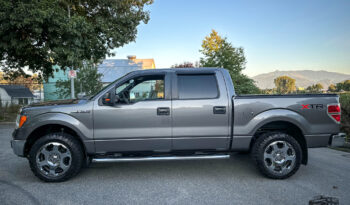 2012 Ford F-150 SuperCrew XLT 5.0L Coyote V8 Exceptional Condition full