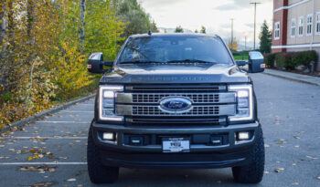 2019 Ford F-350 SuperDuty Platinum Diesel full