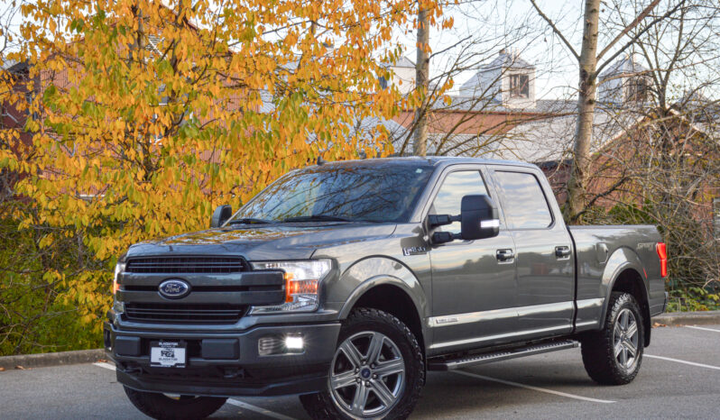 2019 Ford F-150 PowerStroke Diesel F150 Lariat full