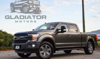 2019 Ford F-150 PowerStroke Diesel F150 Lariat full