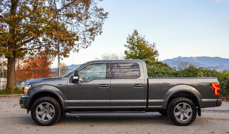 2019 Ford F-150 PowerStroke Diesel F150 Lariat full