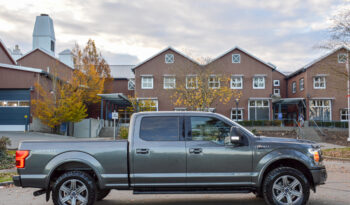 2019 Ford F-150 PowerStroke Diesel F150 Lariat full