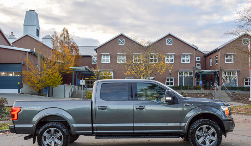 2019 Ford F-150 PowerStroke Diesel F150 Lariat full