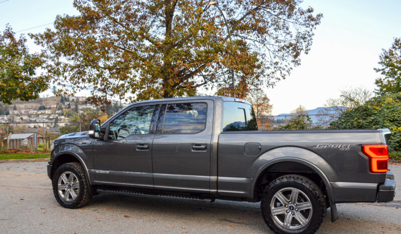 2019 Ford F-150 PowerStroke Diesel F150 Lariat full