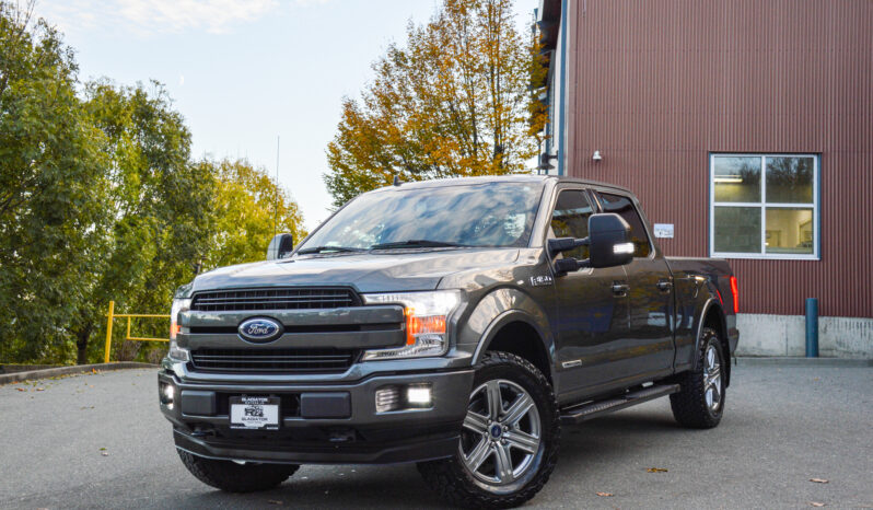 2019 Ford F-150 PowerStroke Diesel F150 Lariat full