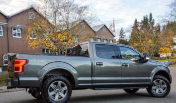 2019 Ford F-150 PowerStroke Diesel F150 Lariat full