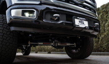 2024 Ford F-350 Platinum SuperDuty 6.7L PowerStroke DIESEL full