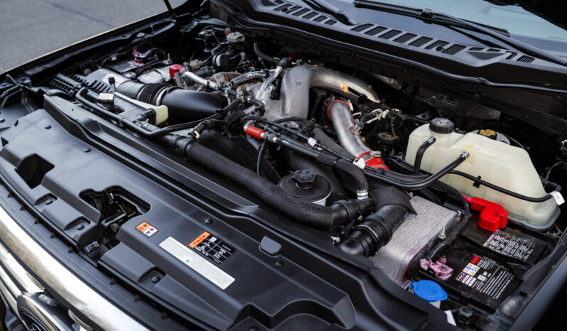 2024 Ford F-350 Platinum SuperDuty 6.7L PowerStroke DIESEL full