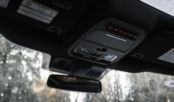 2024 Ford F-350 PowerStroke Diesel F350 Platinum Tremor Offroad Pkg full