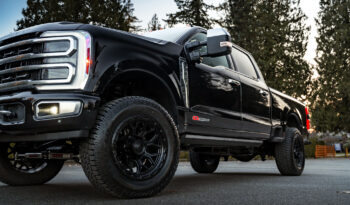 2024 Ford F-350 Platinum SuperDuty 6.7L PowerStroke DIESEL full